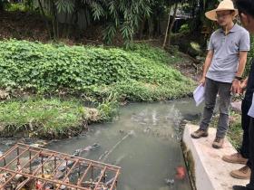 中央生态环保督察组批福建:有地方要求保护为发展让路