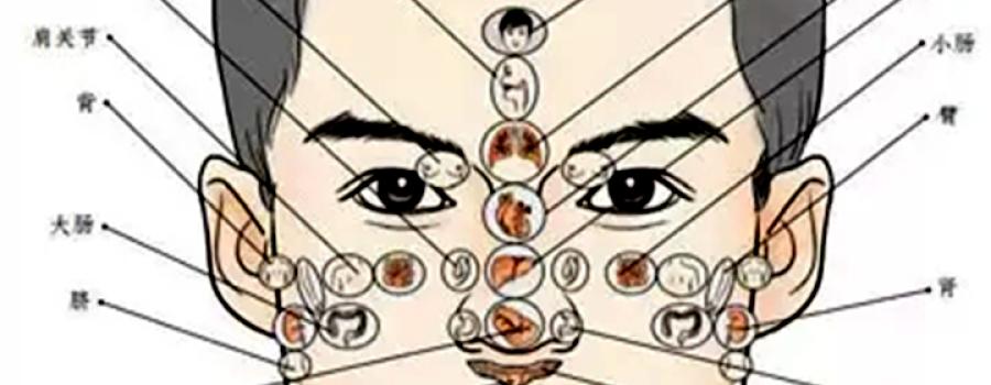 守正中医兴龙子 创新苗药旺凤孙——贵州发展大健康生物医药正当时