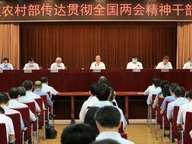 农业农村部:采取超常规举措推进产业扶贫