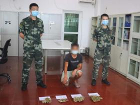 潜水客私挖4株活珊瑚被查