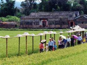 打响“乡字号”“土字号”特色品牌