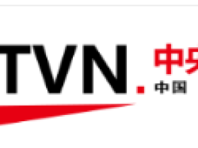 央视网发声明:“中央电视台网”严重侵权,已向相关部门举报