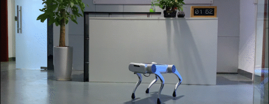 草根机器狗Dogotix