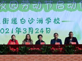 新化县上渡街道白沙洲学校首届校园劳动节启动