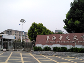 奋斗百年路 启航新征程 ——安徽阜阳市成效中学向党的百年华诞献礼!