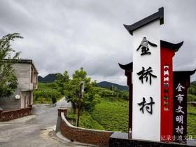 “一围绕六抓实”推动乡村振兴——记贵州金沙高坪镇金桥村
