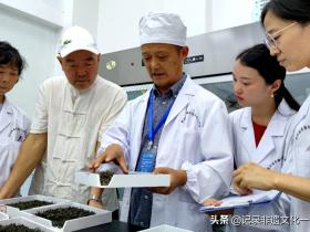 第五届全国茶业职业技能竞赛绿茶加工贵州选拔赛落幕