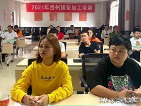 贵州绿茶加工能力提升专项能力培训班9月15日在花溪久安正式开班