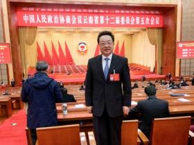 为突破云茶产业市场营销瓶颈建言献策——访云南省政协委员焦家良
