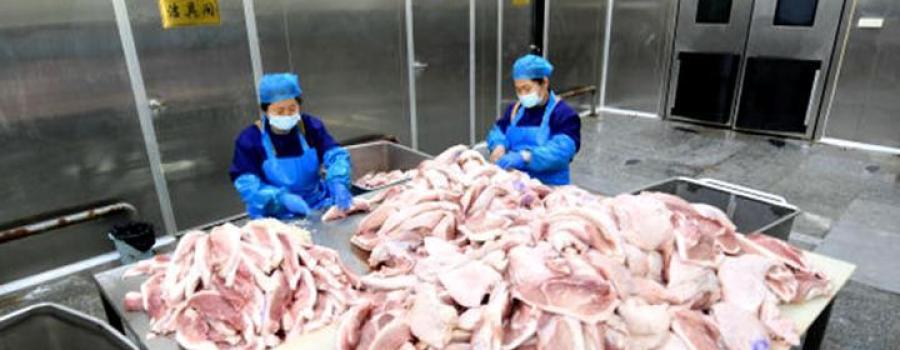 河北永清:发挥龙头企业“领头雁”助力乡村振兴