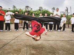 洪门生风——蔡甸省级非遗“杨氏洪门拳”