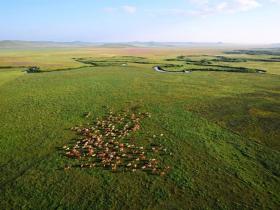 全盟草场陆续放“春假”啦!