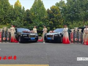 致敬岁月•老酒经典——白水杜康振兴陕酒老清香发展大会圆满举办