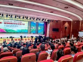 聚焦福建 第一屆海峽兩岸農業交流大會在福建漳平開幕