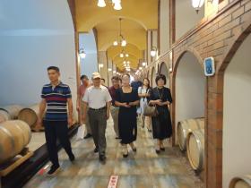 助力中小企业解困 赋能宁夏经济发展——中小企业融通创新专家团赴中国葡萄酒第一镇红寺堡调研