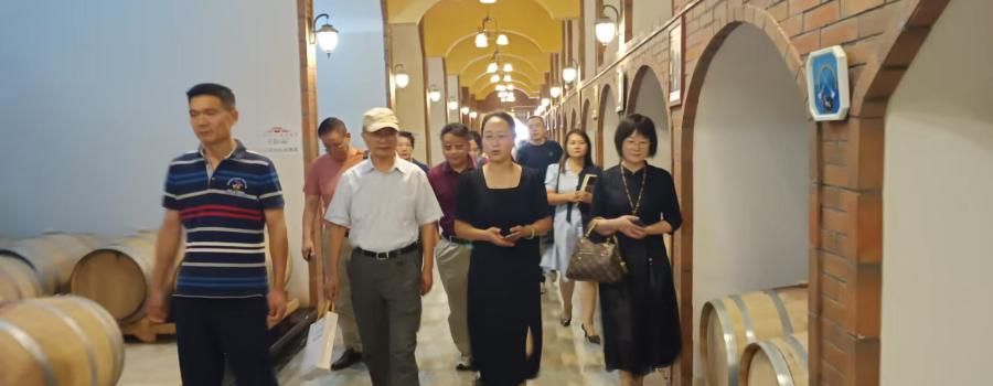 助力中小企业解困 赋能宁夏经济发展——中小企业融通创新专家团赴中国葡萄酒第一镇红寺堡调研