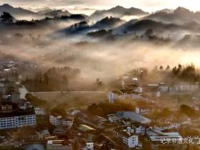 湄潭核桃坝村:西部茶叶第一村的绿色传奇