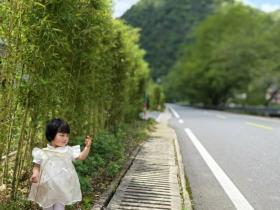 浙江: 五一假期消费市场呈现多维度增长态势