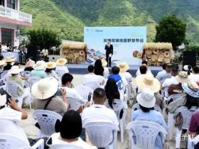 贵州水城猕猴桃田野发布会:小果子托起乡村致富大梦想