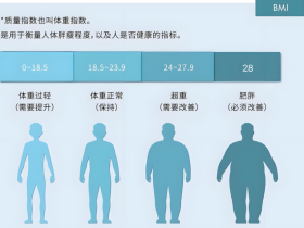 国家卫健委喊你减肥,我们该怎么做?