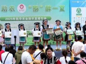 贵州六盘水米箩镇4万亩红心猕猴桃迎丰收,小果实成乡村振兴“摇钱树”