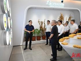 沈晓明调研湖南相关企事业单位驻海南机构运行发展情况