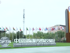 丁薛祥出席2025年全球服务贸易峰会并发表主旨讲话