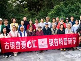 银杏科普+中秋民俗 贵阳石龙村打造双节特色活动