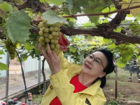 葡园秋韵里的同行:军地文工团团建纪实——自然润心,灵感生花,团队聚力