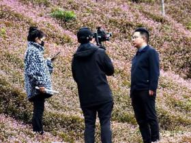 六盘水水城区新街乡红花蓼小药材荒地上开出致富花