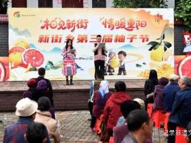 六盘水水城区新街乡1000亩红心柚迎丰收柚子节上话甜蜜
