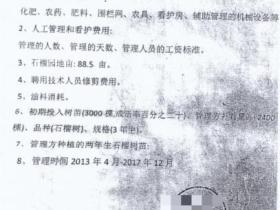 安徽萧濉新河治理果树补偿纠纷七年拉锯,政府与法院相互推诿,久拖不决