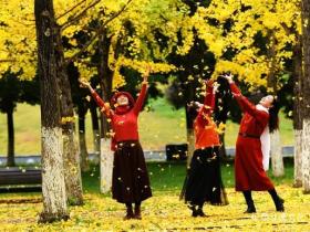 凉都六盘水银杏红叶点亮城市“金色童话”之约