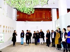 海外华媒走进铜仁 解码“中国抹茶之都”绿色崛起