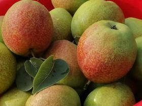 退役老兵之情怀 生态科技之定义