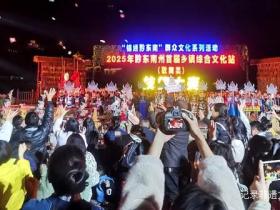 技艺交锋展风采 民族文化焕生机——直击从江县文化站技能大赛现场