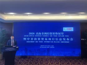中非工业合作发展论坛:对2026年中非经贸充满信心 金融科技等将迎新发展空间