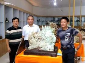 大地之花:一位农民与亿万年的蓝色奇缘