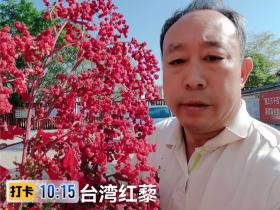 从智库到田埂——邓泗洲多维度赋能产业发展工作实践记录