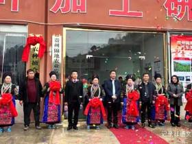 锦地农业开业签约仪式在台江举行 政企携手共筑县域农业升级新样板