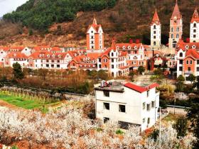 春风有信,花开有期:月照养生谷樱桃花海绘就春日浪漫图鉴