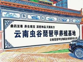 琵琶甲之父:张金荣与“虿素”的传奇