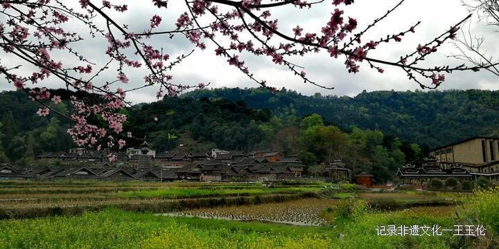 神秘从江，养心圣地——七星侗寨銮里-图片8