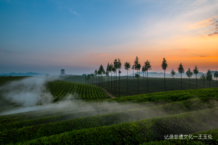 当好东道主 喜迎茶博会-图片3