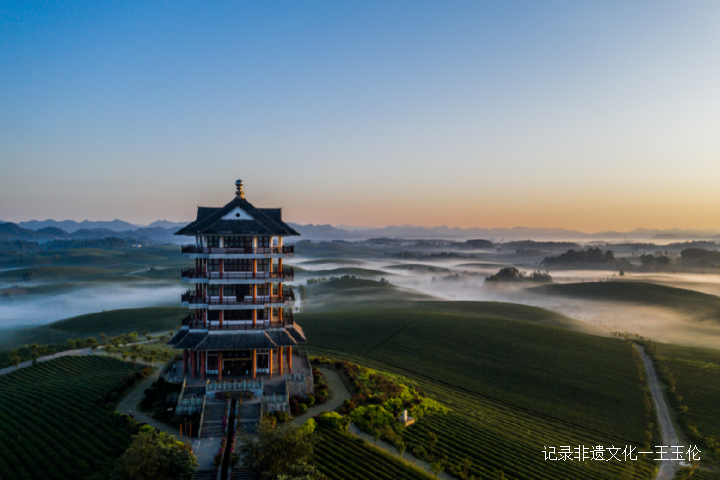 当好东道主 喜迎茶博会-图片10