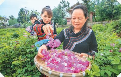 解读中国推进乡村振兴的“密码”（国际论道）