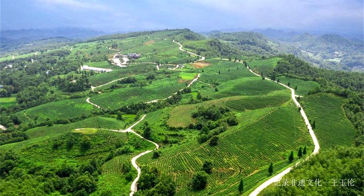 酒韵飘香 醉美源村