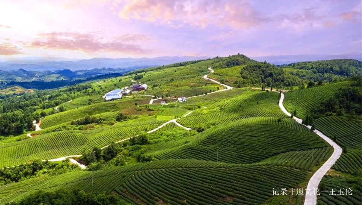 酒韵飘香 醉美源村