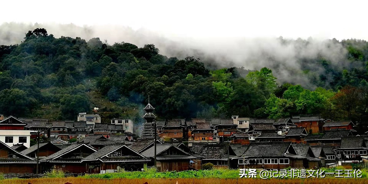 嘎雅玛助农助力从江椪柑重焕生机