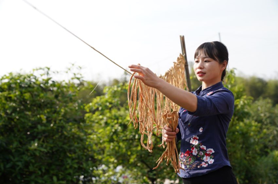 “打工妹”秋月回乡，不到两年卖出上千万斤高山萝卜-图片1